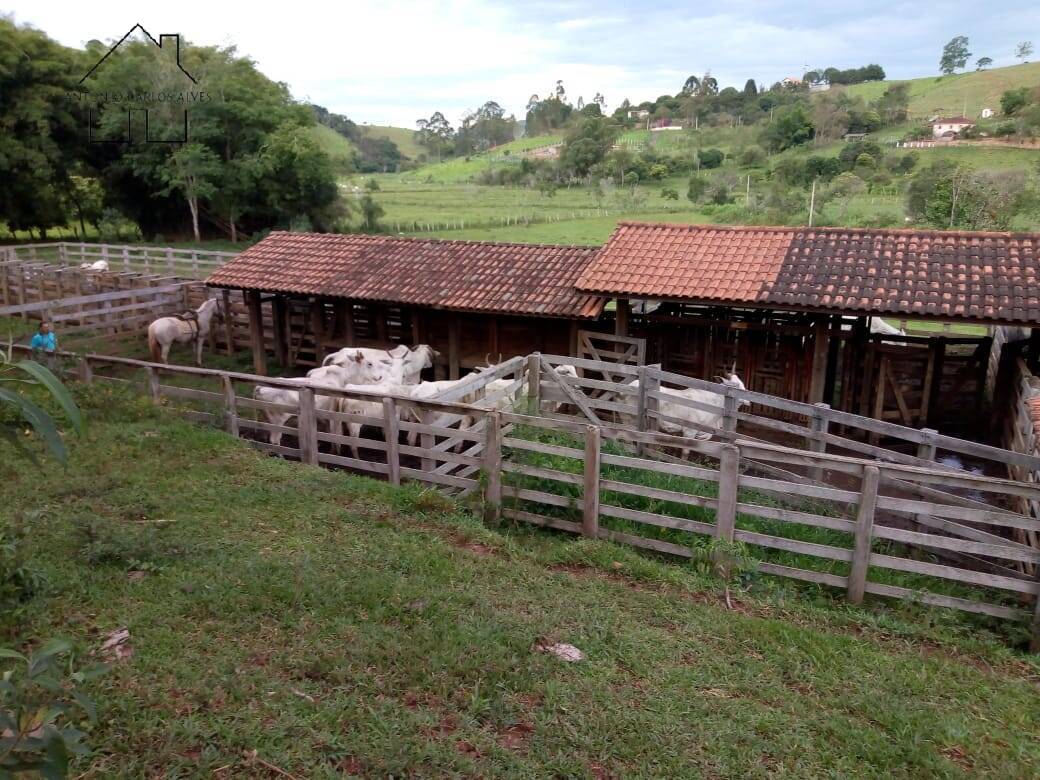 Sítio, 3 quartos, 53 hectares - Foto 54