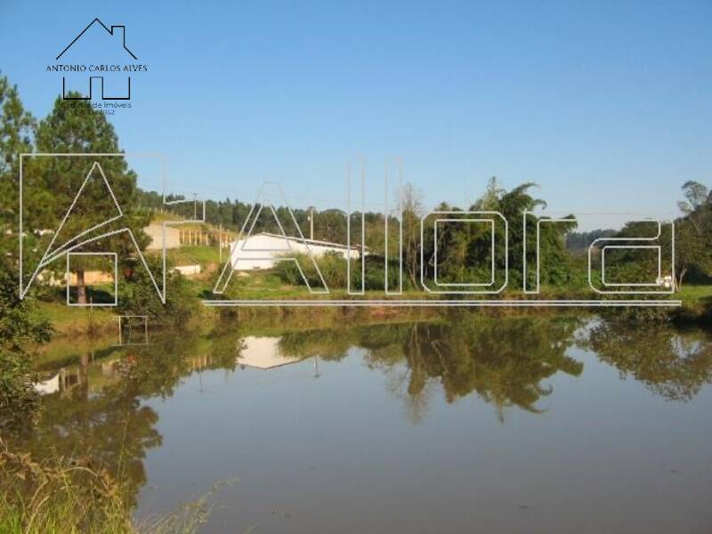 Sítio, 3 quartos, 50 hectares - Foto 2