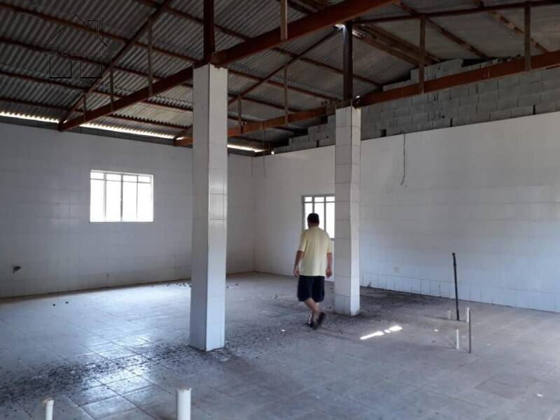 Sítio, 3 quartos, 50 hectares - Foto 9