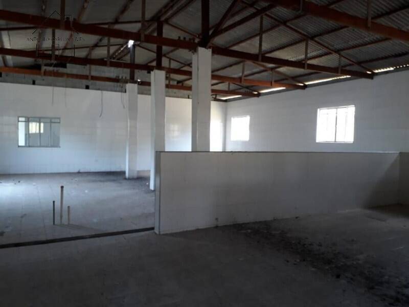 Sítio, 3 quartos, 50 hectares - Foto 10