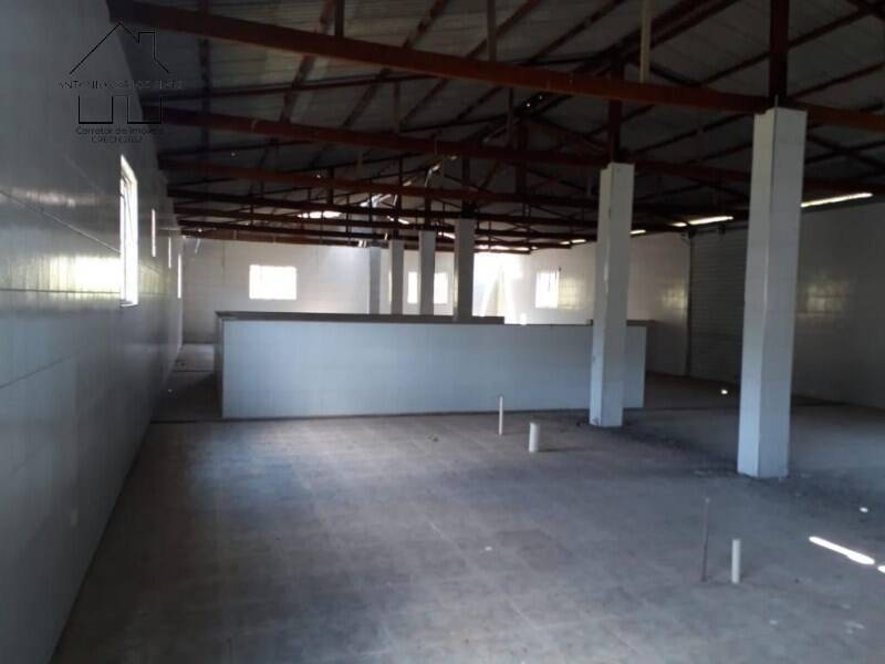 Sítio, 3 quartos, 50 hectares - Foto 12