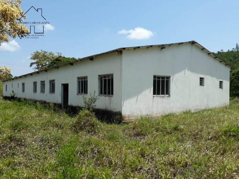 Sítio, 3 quartos, 50 hectares - Foto 1