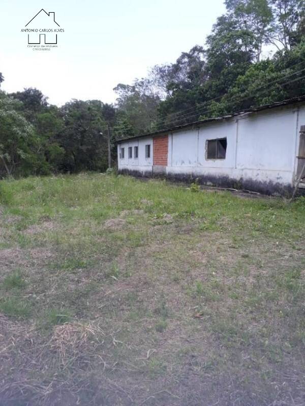 Sítio, 3 quartos, 50 hectares - Foto 18
