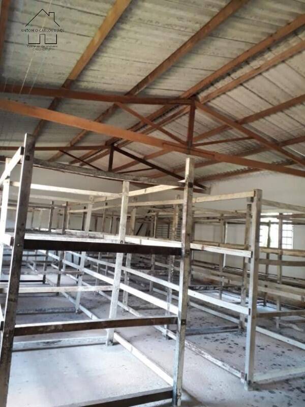 Sítio, 3 quartos, 50 hectares - Foto 24