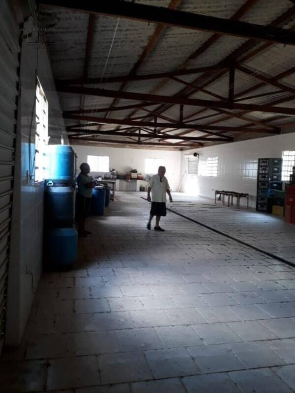Sítio, 3 quartos, 50 hectares - Foto 22