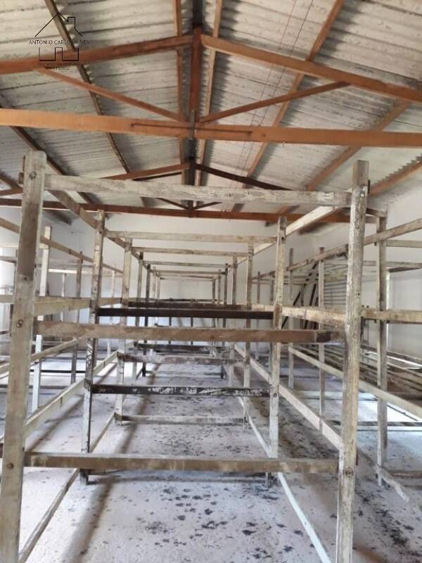 Sítio, 3 quartos, 50 hectares - Foto 25