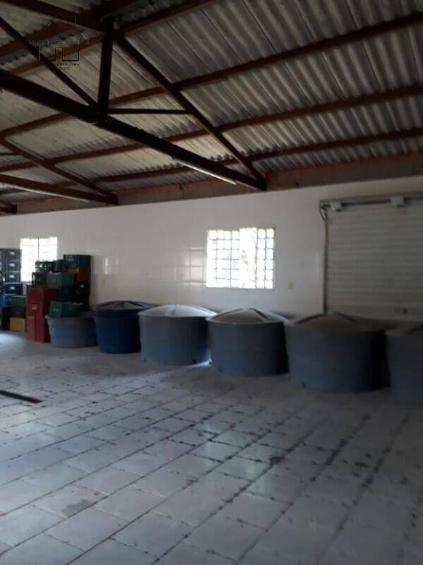 Sítio, 3 quartos, 50 hectares - Foto 21