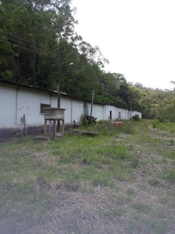 Sítio, 3 quartos, 50 hectares - Foto 20