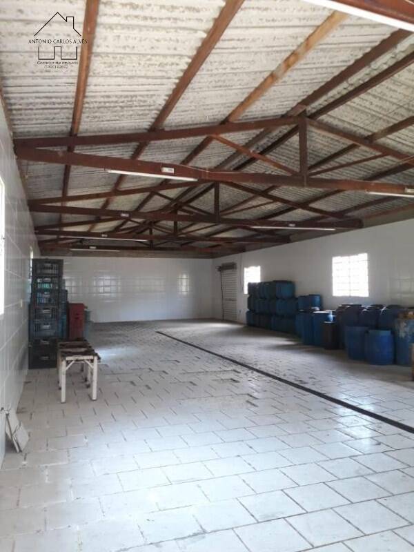 Sítio, 3 quartos, 50 hectares - Foto 23