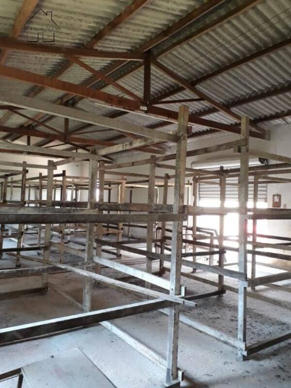 Sítio, 3 quartos, 50 hectares - Foto 26