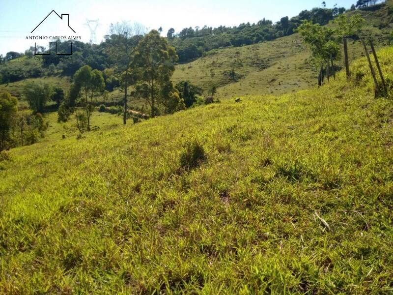 Sítio, 2 quartos, 2 hectares - Foto 7