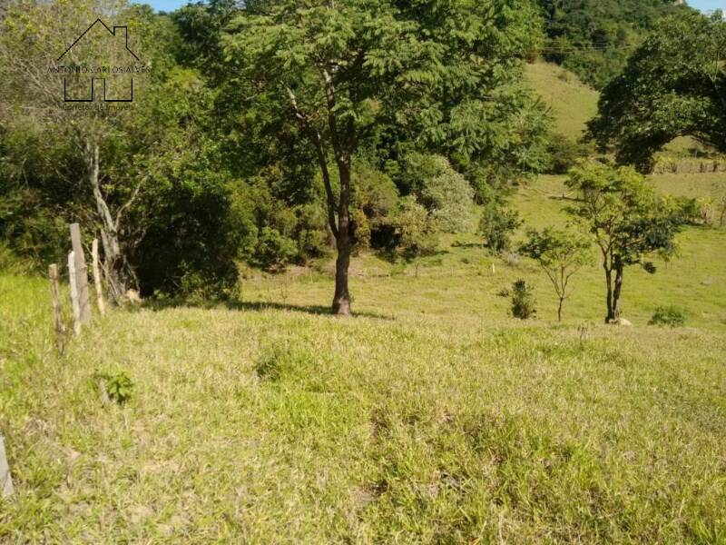 Sítio, 2 quartos, 2 hectares - Foto 11