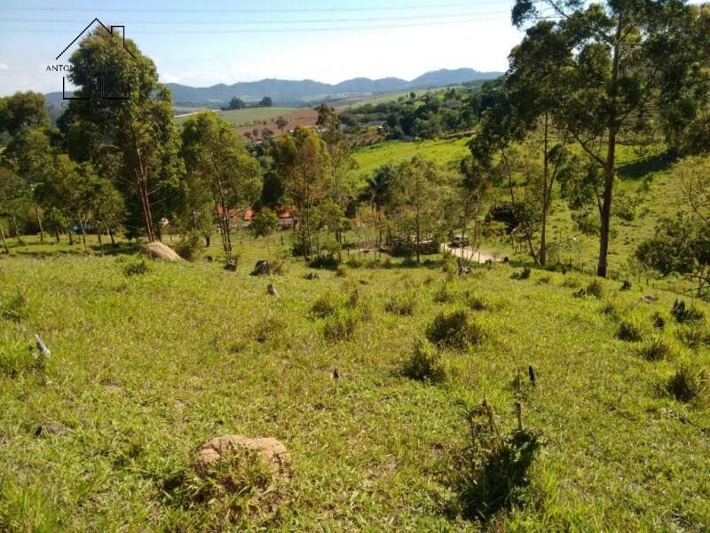 Sítio, 2 quartos, 2 hectares - Foto 8