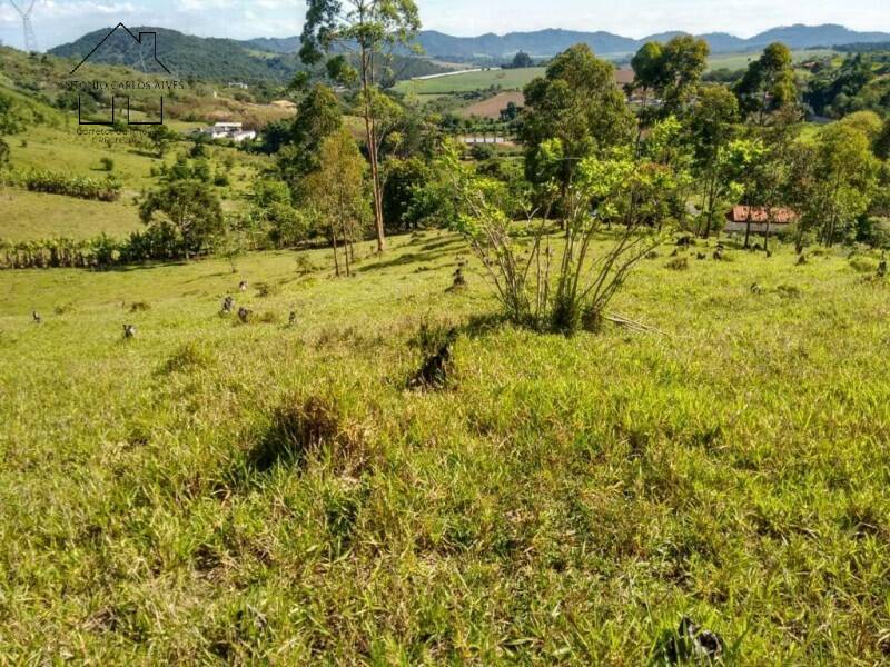 Sítio, 2 quartos, 2 hectares - Foto 15