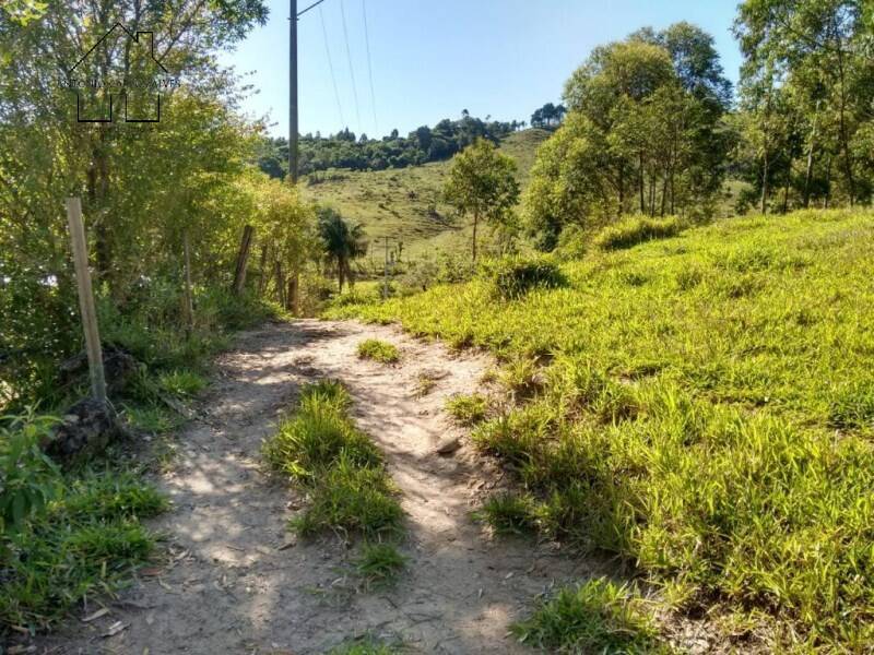 Sítio, 2 quartos, 2 hectares - Foto 14