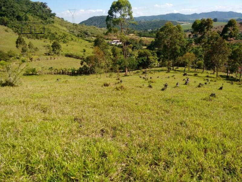 Sítio, 2 quartos, 2 hectares - Foto 19