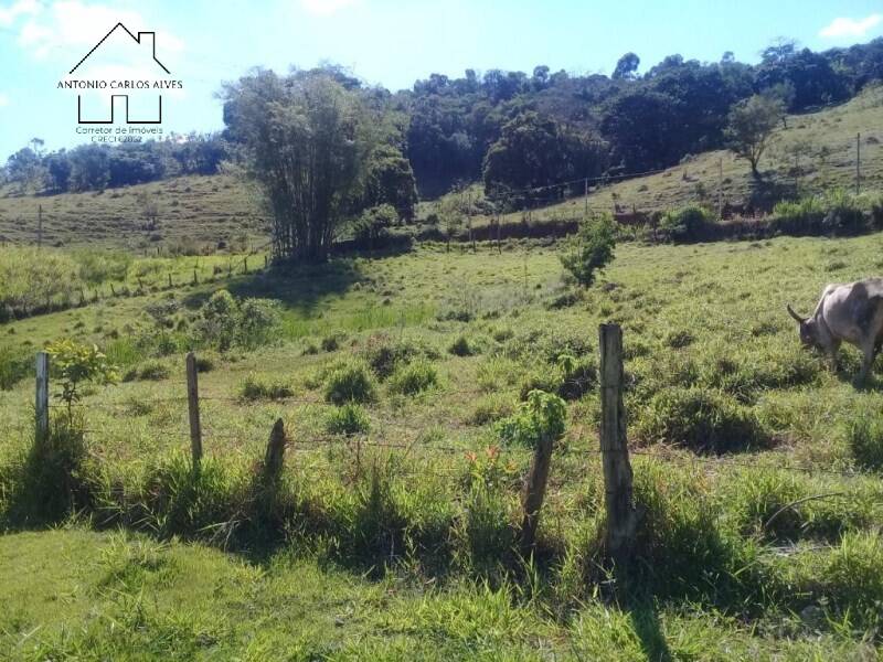 Sítio, 2 quartos, 2 hectares - Foto 23