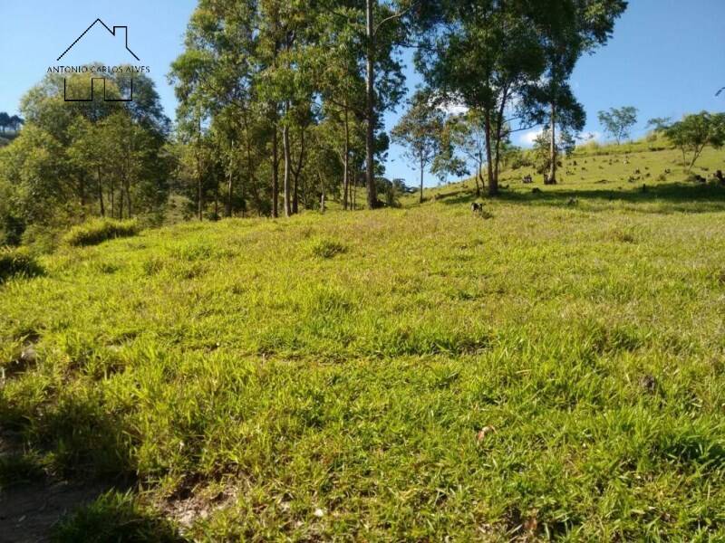 Sítio, 2 quartos, 2 hectares - Foto 25