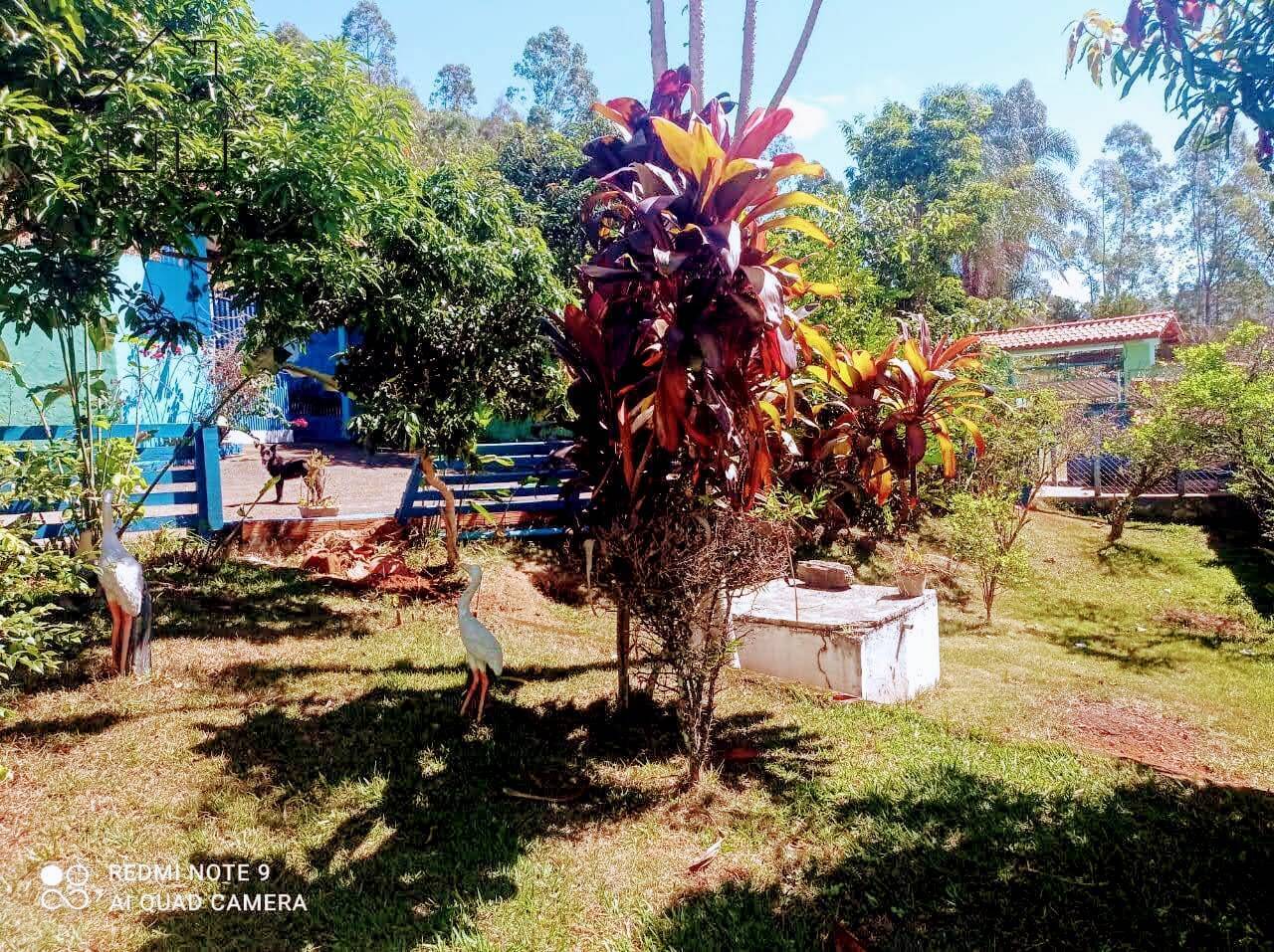 Sítio, 6 quartos, 5 hectares - Foto 14