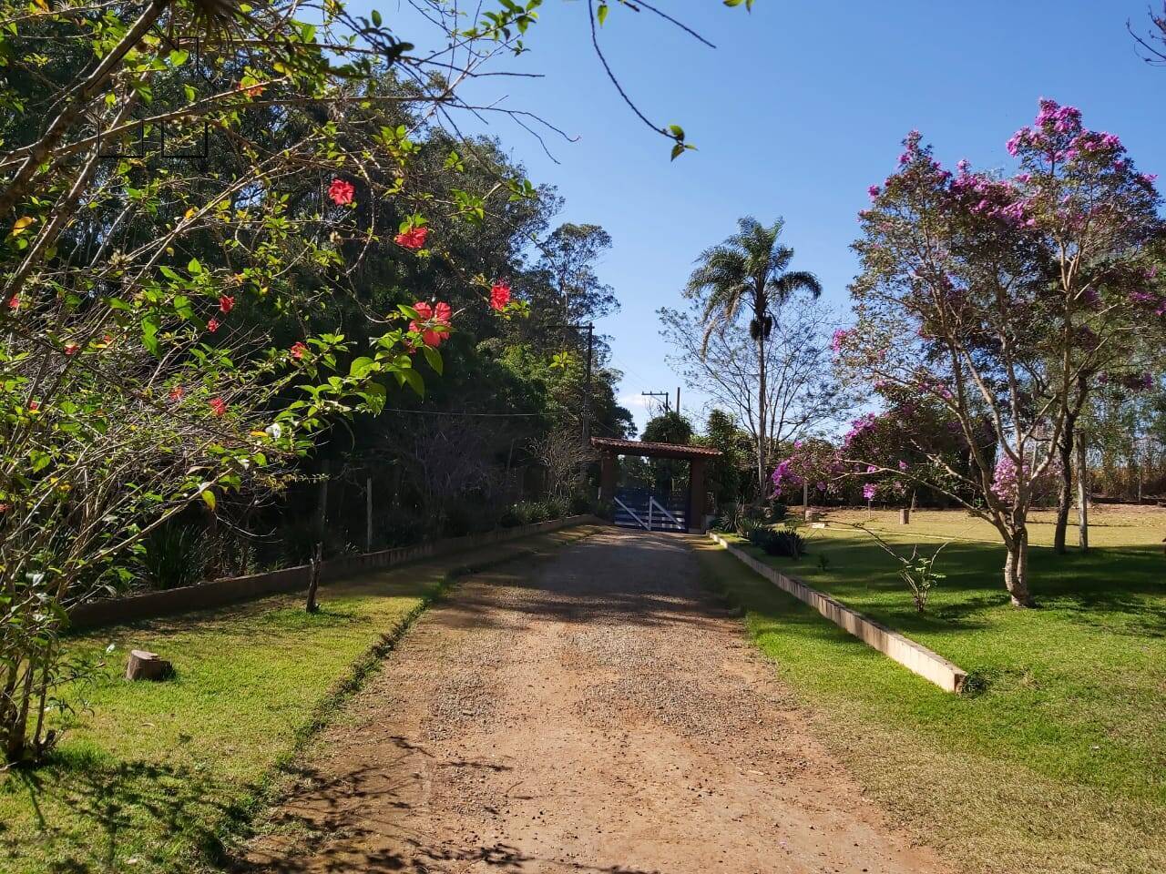 Sítio, 6 quartos, 3 hectares - Foto 28