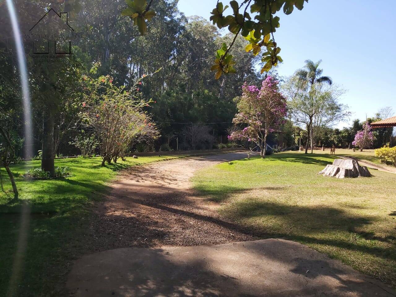 Sítio, 6 quartos, 3 hectares - Foto 26