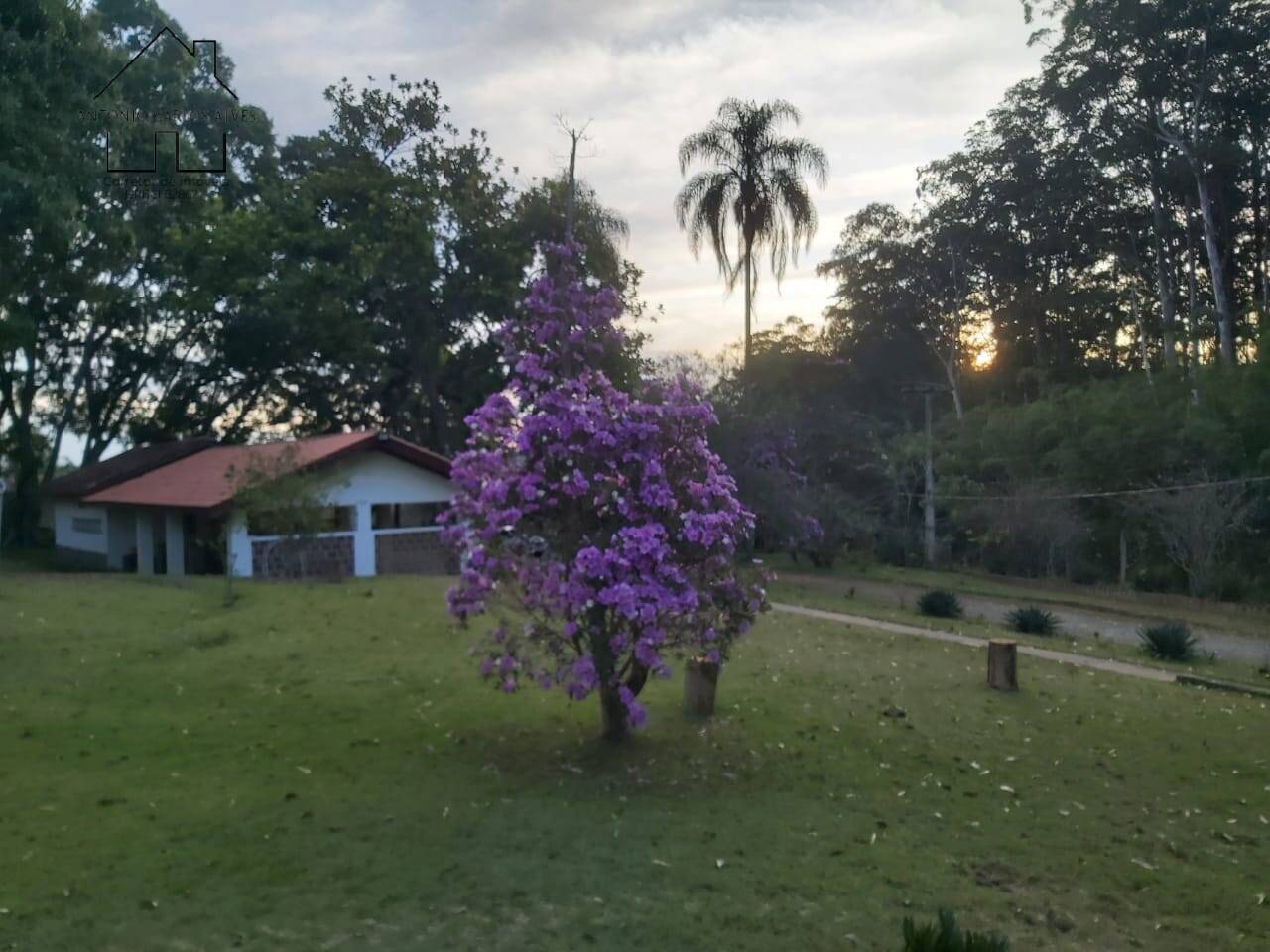 Sítio, 6 quartos, 3 hectares - Foto 54
