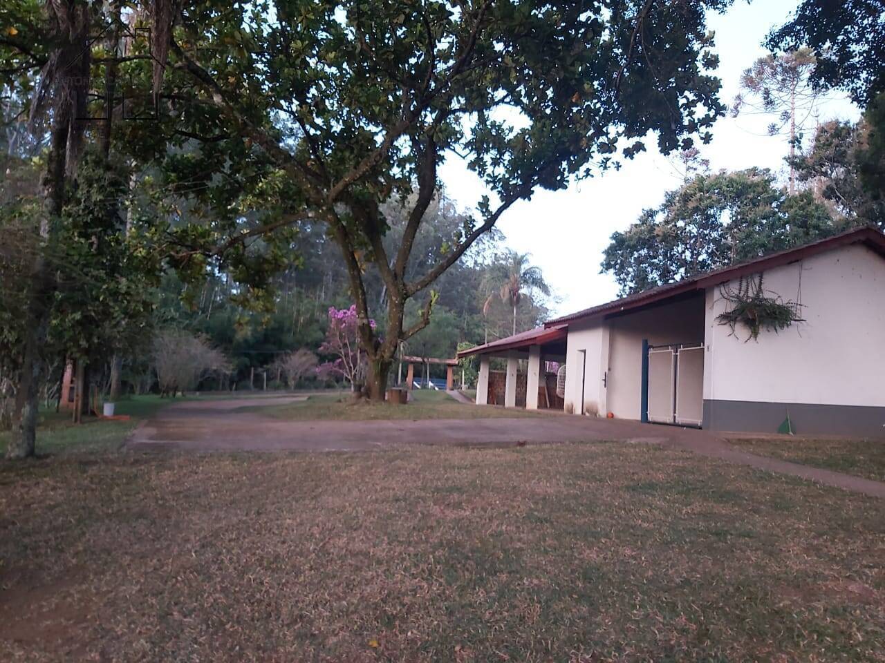 Sítio, 6 quartos, 3 hectares - Foto 53