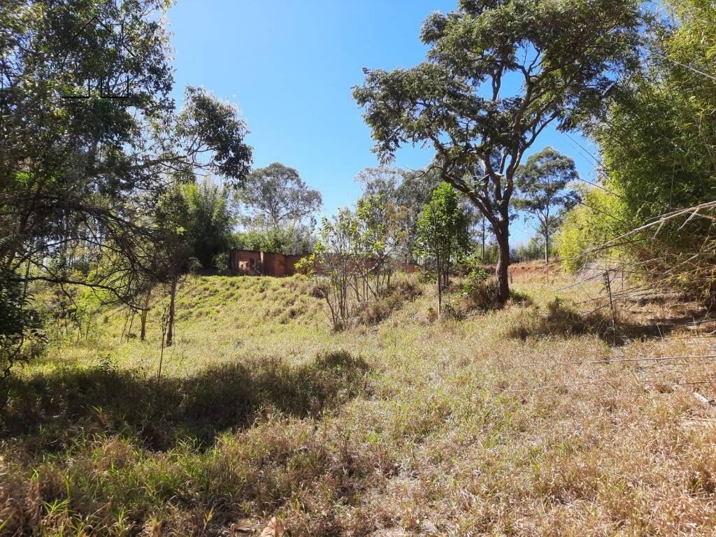 Terreno, 2 hectares - Foto 13