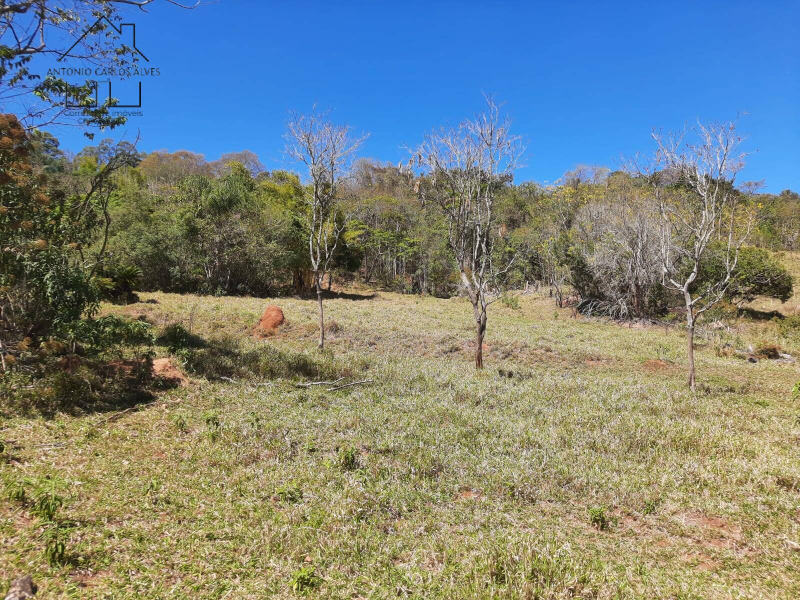 Terreno, 2 hectares - Foto 31