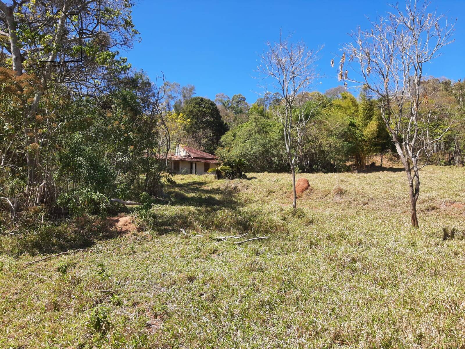 Terreno, 2 hectares - Foto 27