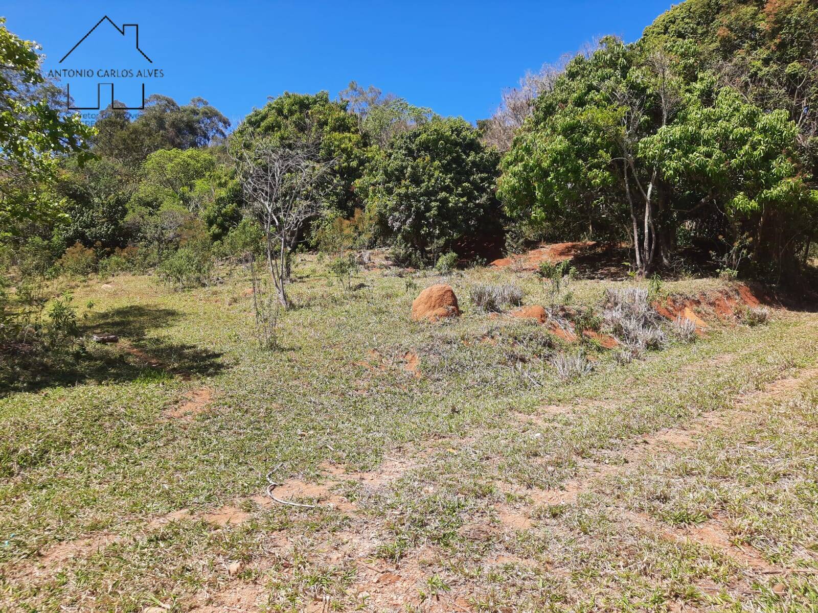 Terreno, 2 hectares - Foto 32
