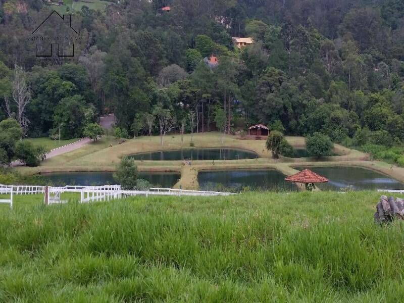 Casa, 4 quartos, 770 m² - Foto 39