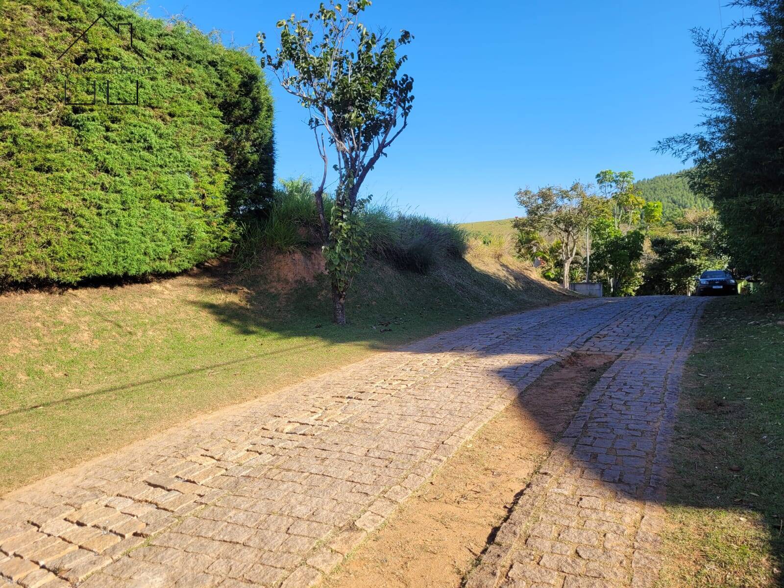 Terreno, 2001 m² - Foto 6