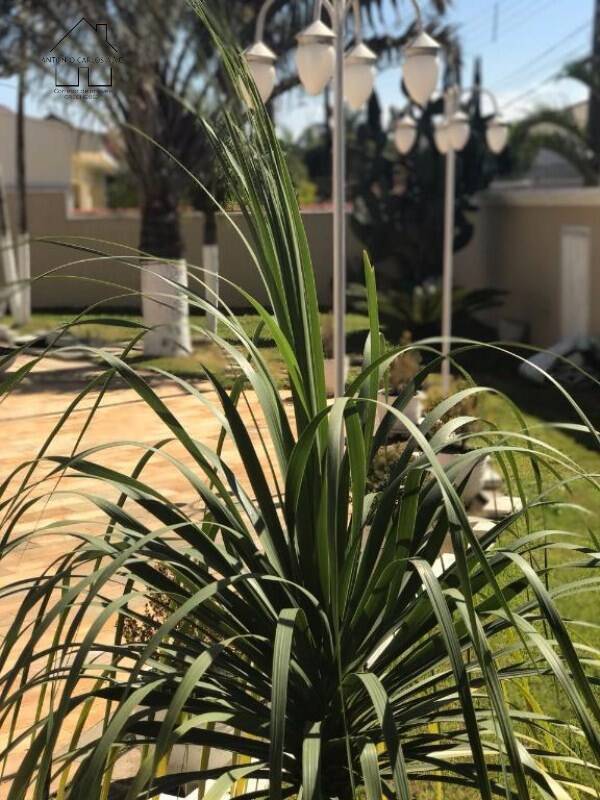 Sobrado, 5 quartos, 450 m² - Foto 15