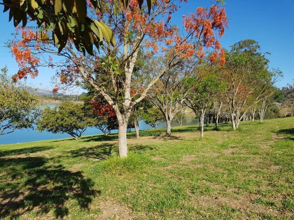 Terreno, 1992 m² - Foto 7