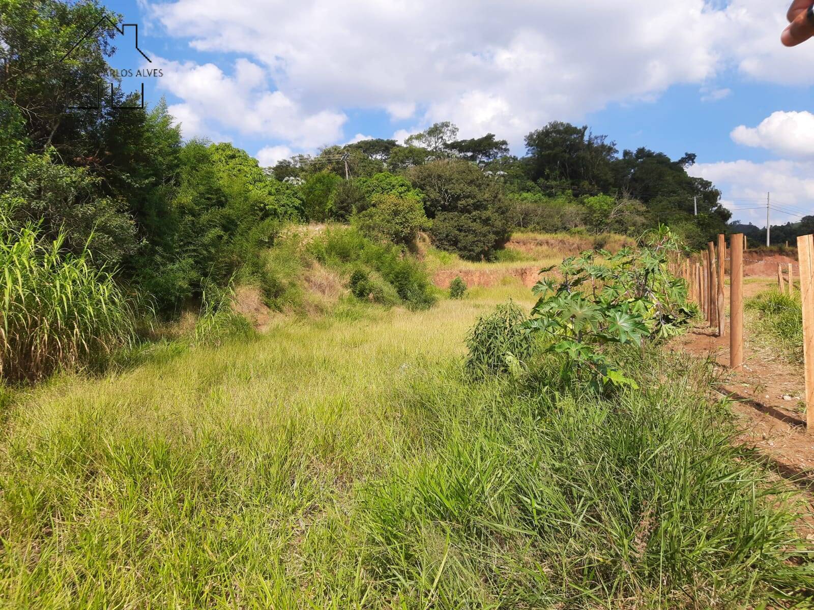 Terreno, 1812 m² - Foto 10