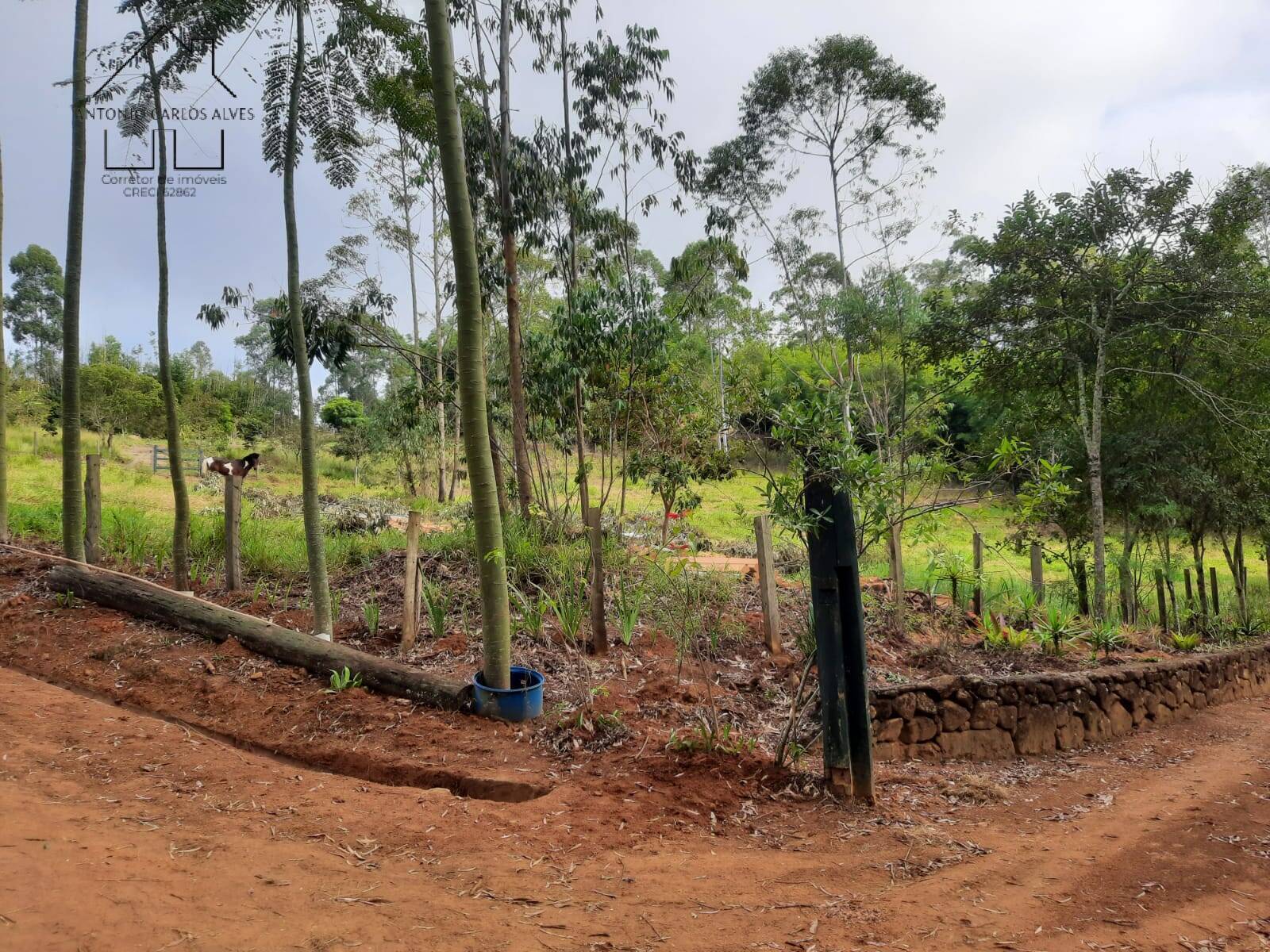 Terreno, 8500 m² - Foto 6