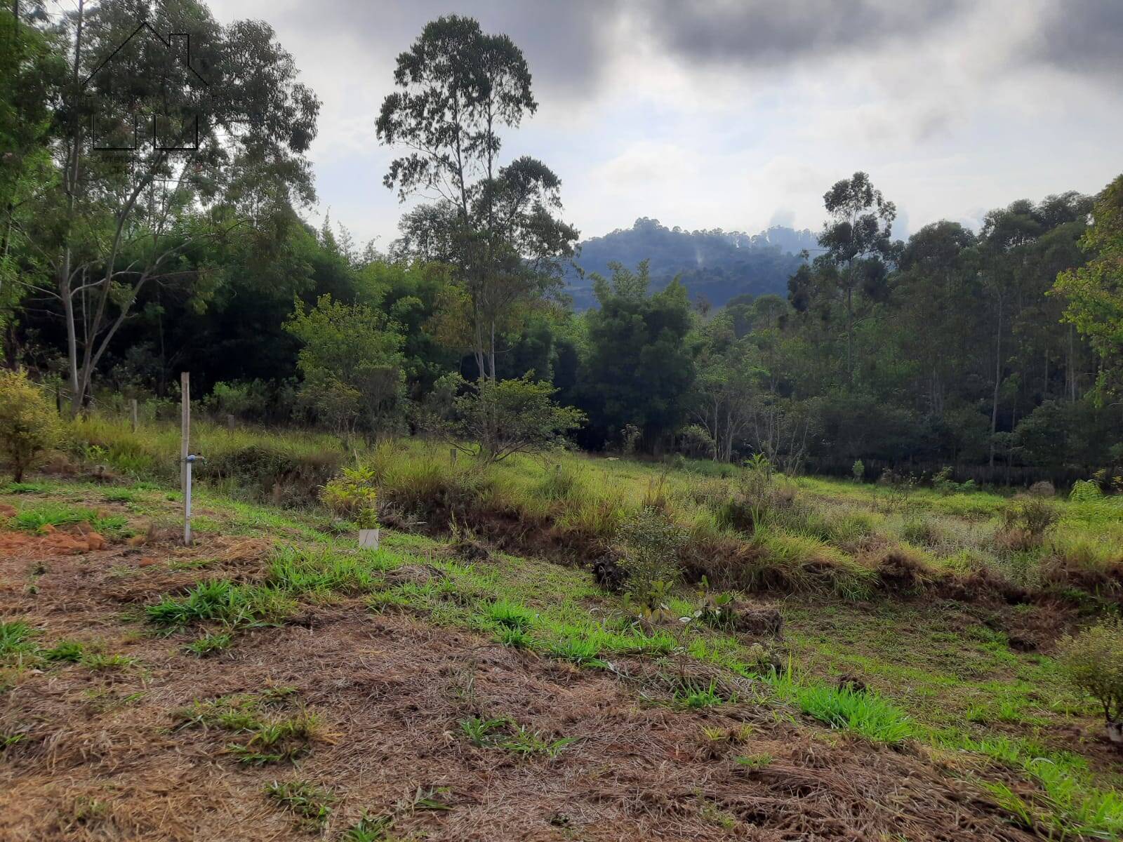 Terreno, 8500 m² - Foto 17