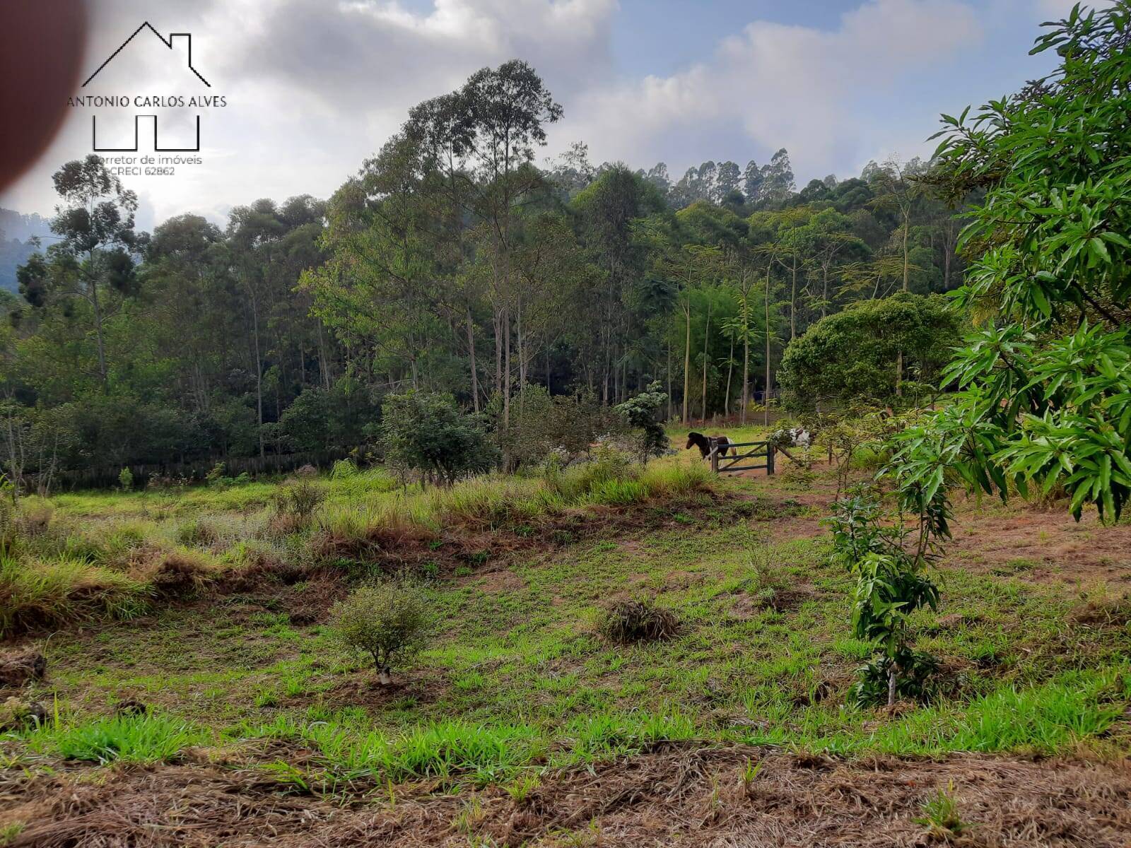 Terreno, 8500 m² - Foto 22