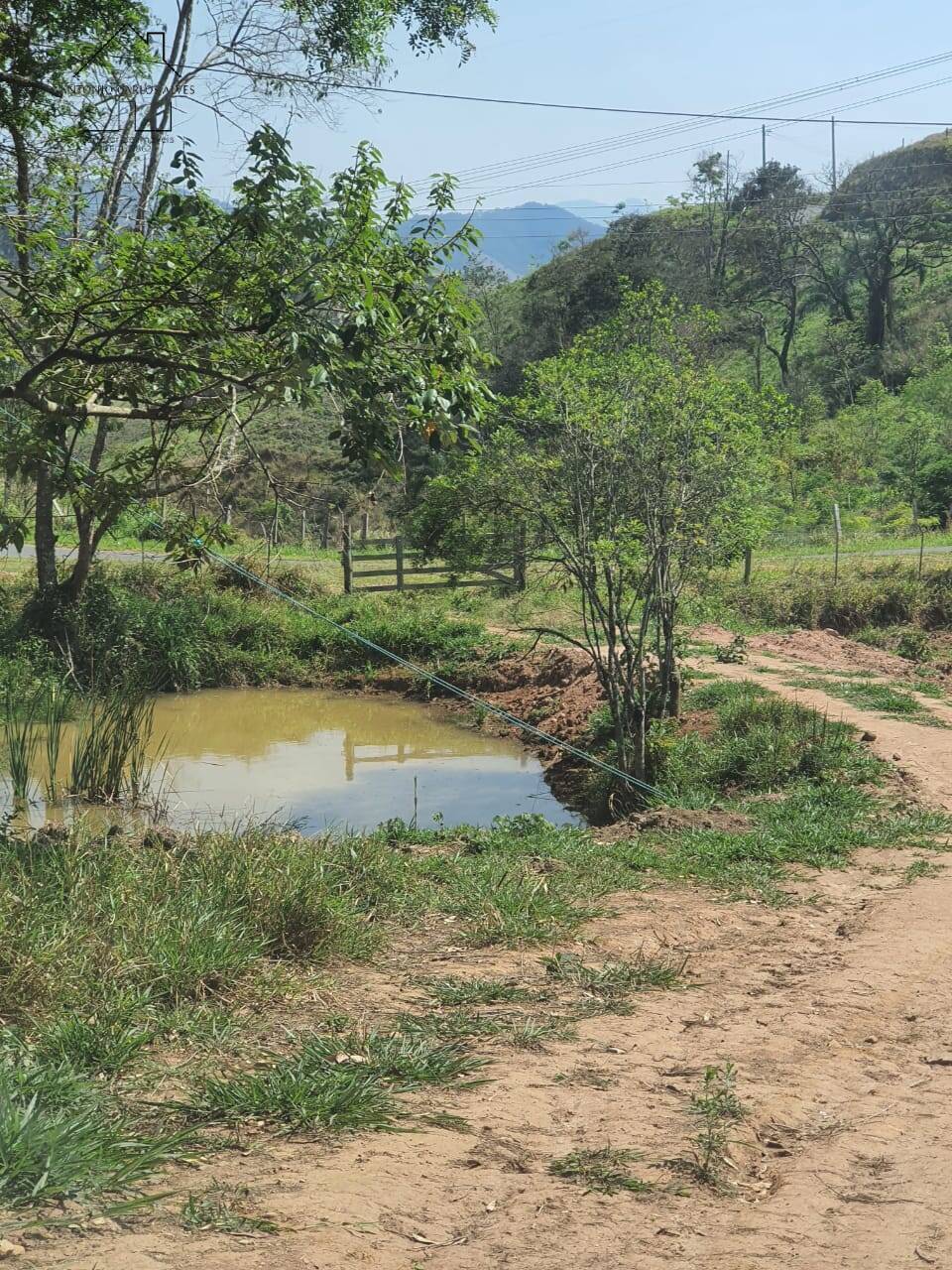 Terreno, 2 hectares - Foto 4