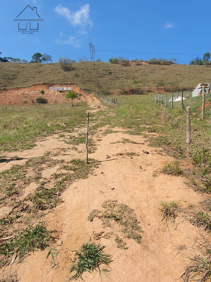 Terreno, 2 hectares - Foto 6