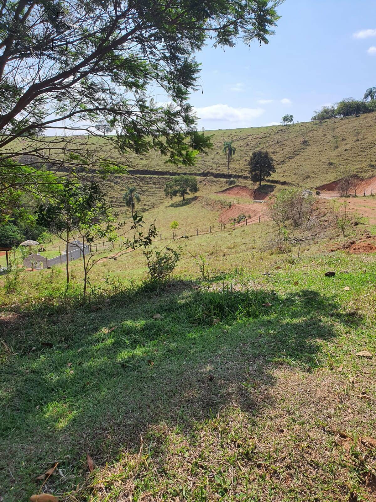 Terreno, 2 hectares - Foto 10