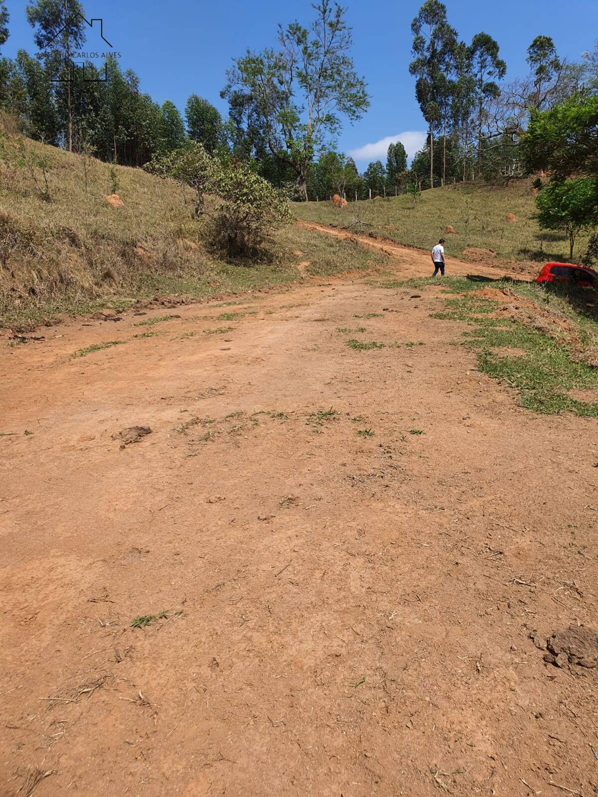 Terreno, 2 hectares - Foto 12