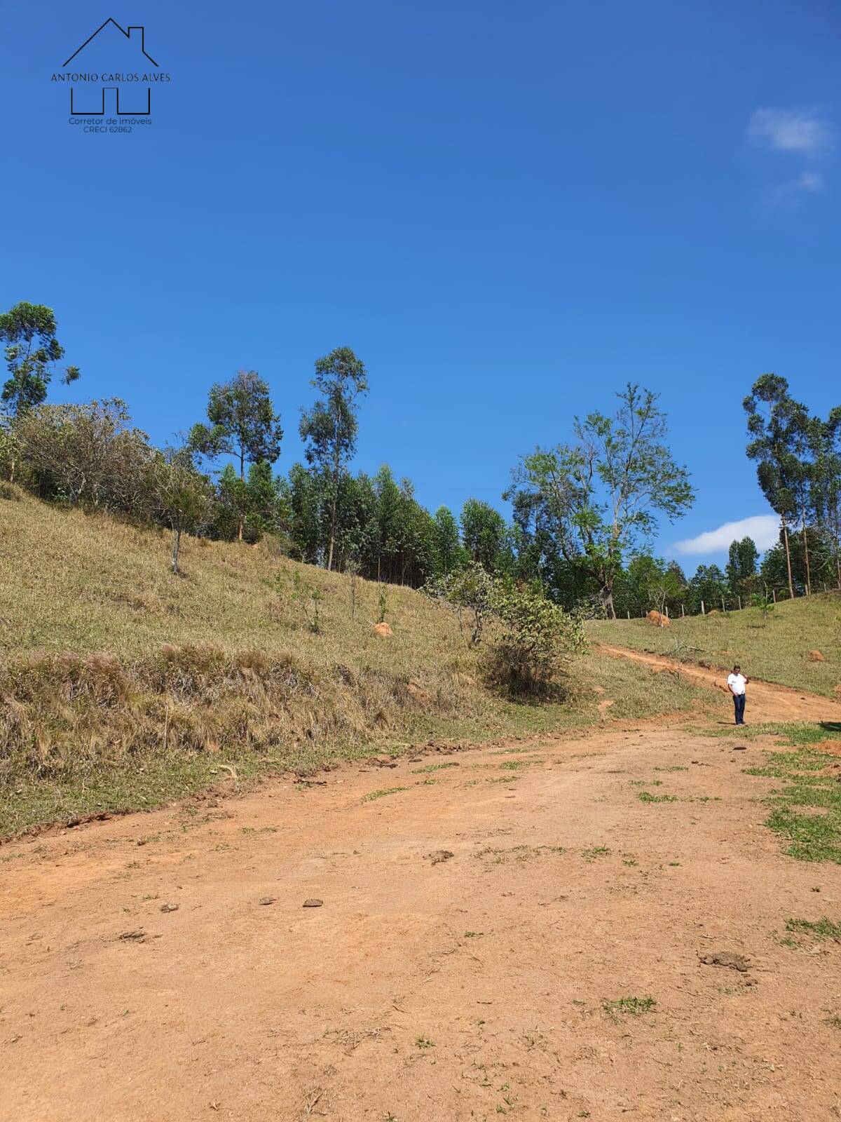 Terreno, 2 hectares - Foto 14