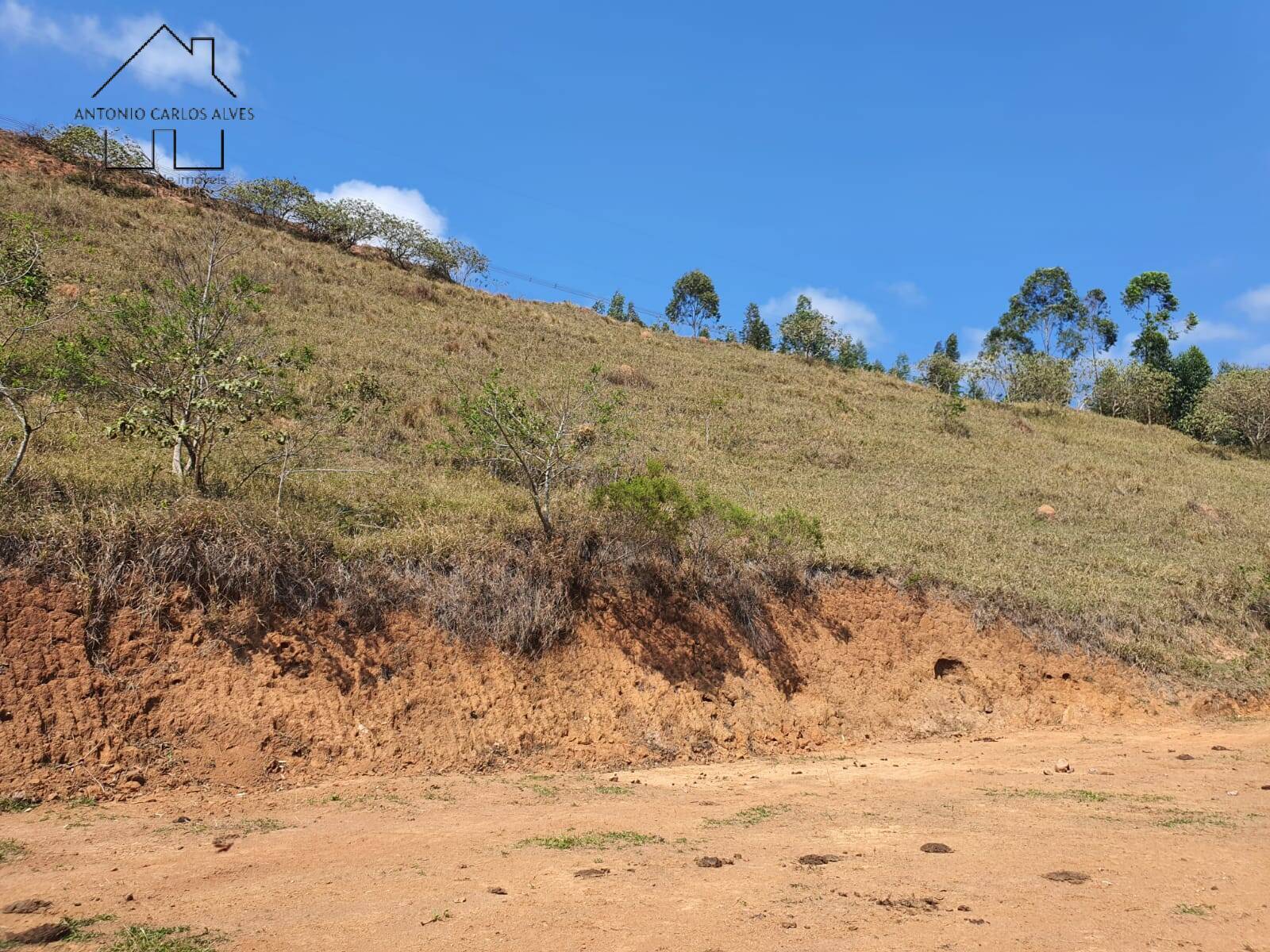 Terreno, 2 hectares - Foto 17