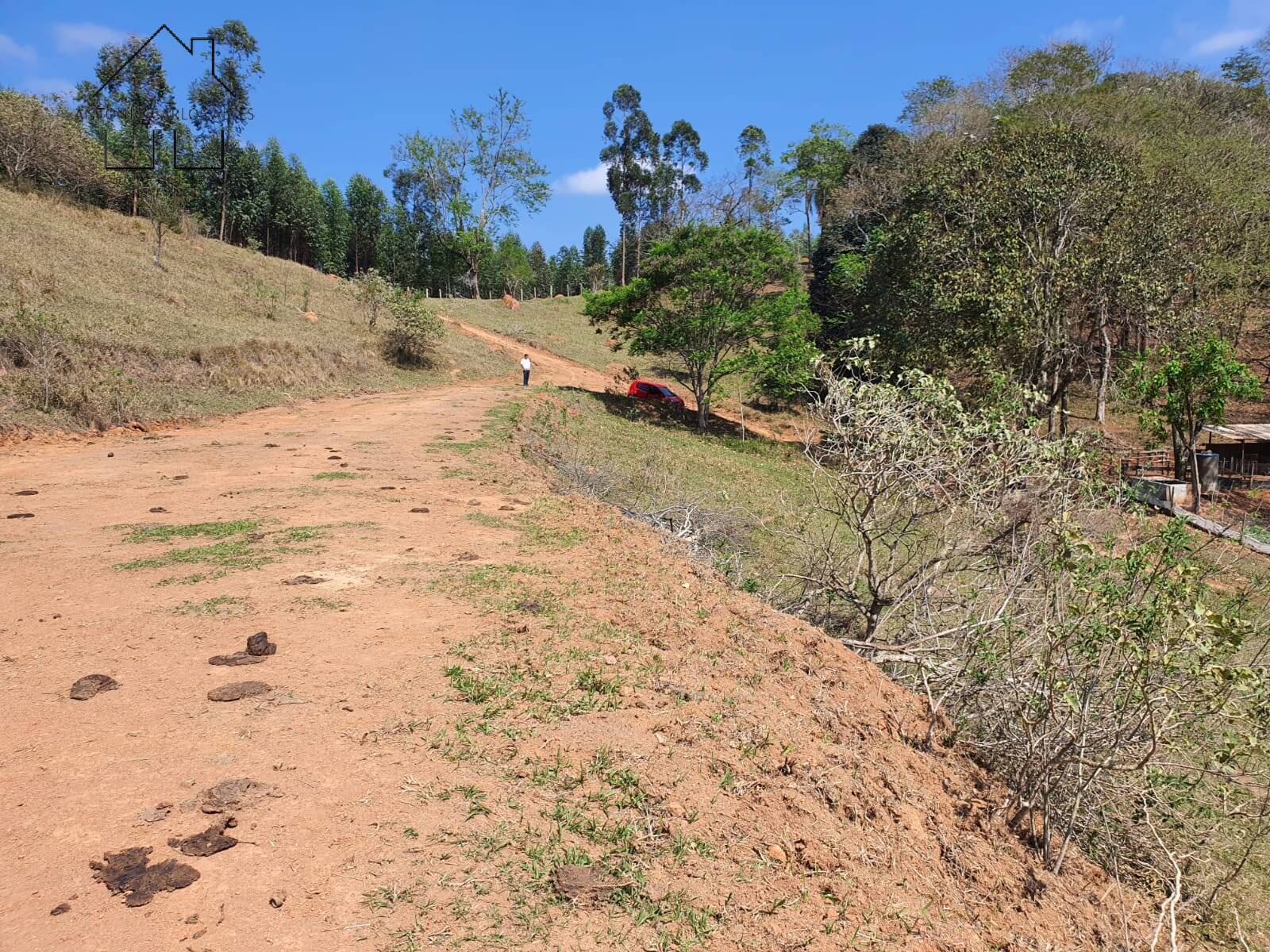 Terreno, 2 hectares - Foto 19