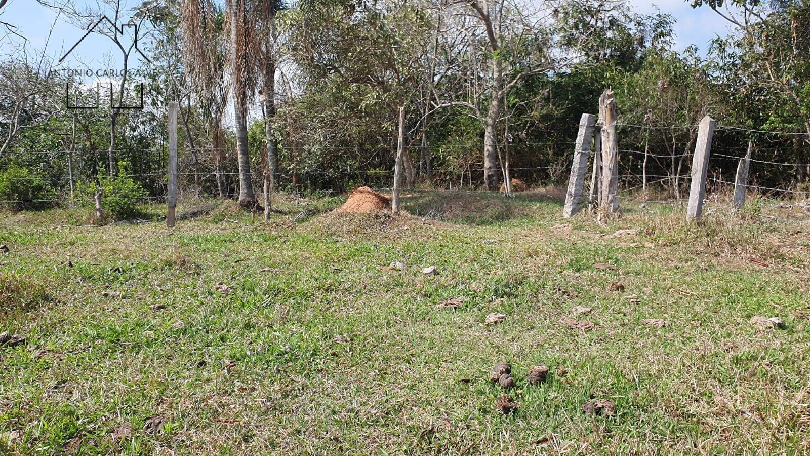 Terreno, 2 hectares - Foto 27
