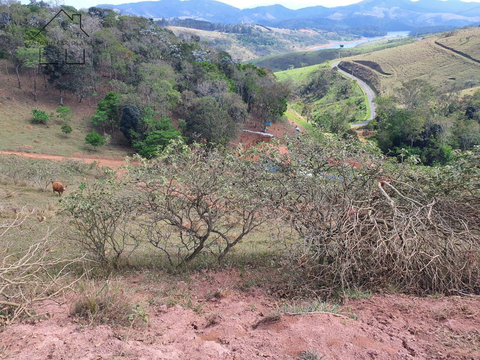 Terreno, 2 hectares - Foto 34