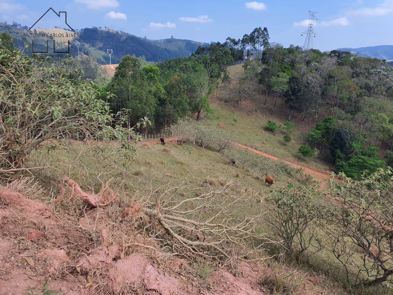Terreno, 2 hectares - Foto 48