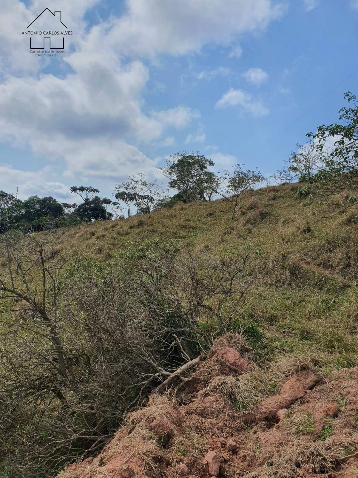 Terreno, 2 hectares - Foto 47